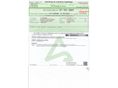 FORD TRANSIT 2017/2 - 12