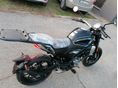 CFMOTO 300 CL-X 2023/11 - 5