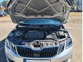 SKODA OCTAVIA 2019/6 - 11