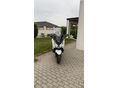 HONDA NSS 125 FORZA 2018/8 - 2