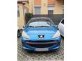 PEUGEOT 207 2006/11 - 3