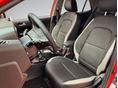 KIA PICANTO 2026 - 11