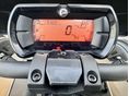 CAN-AM RYKER 2019 - 7