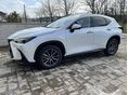 LEXUS NX 2023/5 - 2