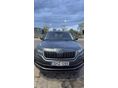 SKODA KODIAQ 2020/10 - 4