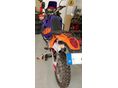 KTM 640 LC4 ADVENTURE 2004/2 - 6