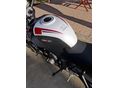 TRIUMPH TRIDENT 2024/11 - 5