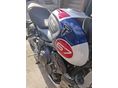 TRIUMPH TRIDENT 2024/11 - 6