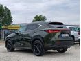 LEXUS NX 2024/4 - 4