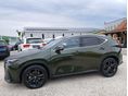 LEXUS NX 2024/4 - 6