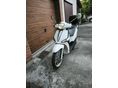 PIAGGIO LIBERTY 50 2019/11 - 2