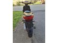 MOTOWELL CROGEN 2017 - 3