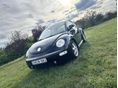 VOLKSWAGEN NEW BEETLE 1.9 TDI (Automata)