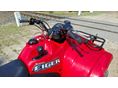 SUZUKI LT-F 400 2006/12 - 4
