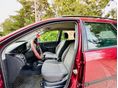 FORD FOCUS 2001/11 - 7
