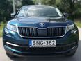 SKODA KODIAQ 2020 - 7