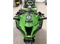 KAWASAKI ZX-10 R (NINJA) 
