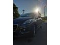 PEUGEOT 3008 2014/10 - 2
