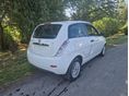 LANCIA YPSILON 2009/10 - 7