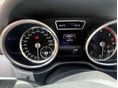 MERCEDES-BENZ ML 250 2014/4 - 6