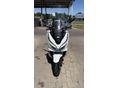 HONDA PCX 125 2020/9 - 3