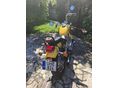 SUZUKI LS 650 SAVAGE 1996/8 - 3