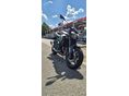 KAWASAKI Z 900 2025/5 - 3