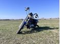 HARLEY-DAVIDSON SPORTSTER 883 2004/4 - 8
