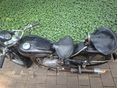 IZS 49 1958 - 2