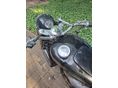 IZS 49 1958 - 5
