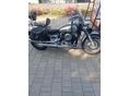 YAMAHA XVS 650 DRAG STAR 2004/5 - 6