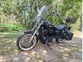 HARLEY-DAVIDSON SPORTSTER 1200 CUSTOM 2017 - 2