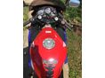 HONDA CBR 600 F 1999/5 - 5