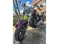 HARLEY-DAVIDSON DYNA 2015/3 - 5