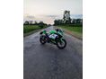 KAWASAKI NINJA 300 2015/7 - 2