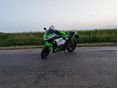 KAWASAKI NINJA 300 2015/7 - 3