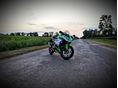 KAWASAKI NINJA 300 2015/7 - 5