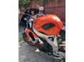 HONDA CBR 900 RR 1999/6 - 5