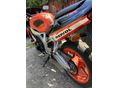 HONDA CBR 900 RR 1999/6 - 8