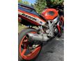 HONDA CBR 900 RR 1999/6 - 9