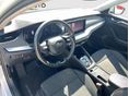 SKODA OCTAVIA 2021/1 - 7