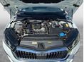 SKODA OCTAVIA 2021/1 - 12