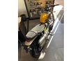 TRIUMPH SCRAMBLER 2026/6 - 4