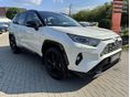 TOYOTA RAV 4 2019/9 - 2