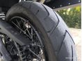 TRIUMPH TIGER 900 2023/12 - 11