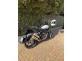 INDIAN FTR 1200 2019 - 4