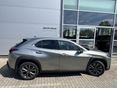 LEXUS UX 2025/11 - 12