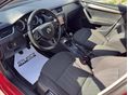 SKODA OCTAVIA 2019/8 - 5