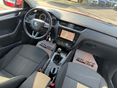SKODA OCTAVIA 2019/8 - 7