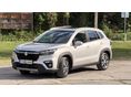 SUZUKI SX4 S-CROSS 2022/6 - 7